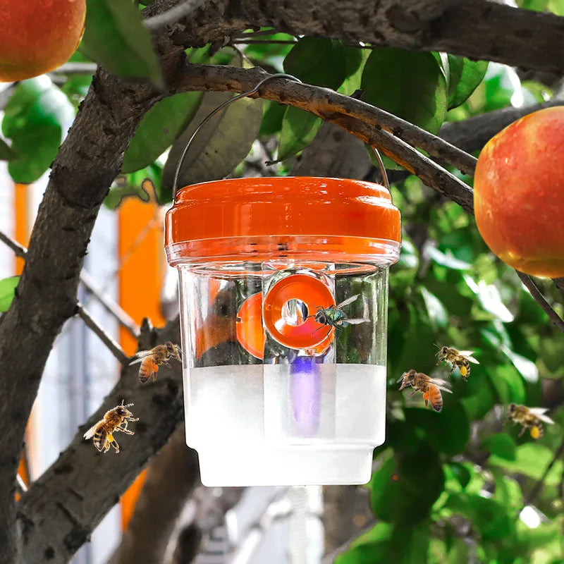 Piège À Insectes Extérieur En Plastique Transparent Avec Couvercle – Efficace Pour Attraper Des Mouches Des Fruits, Des Guêpes, Un Design Transparent Pour Une Surveillance Facile