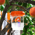 Piège À Insectes Extérieur En Plastique Transparent Avec Couvercle – Efficace Pour Attraper Des Mouches Des Fruits, Des Guêpes, Un Design Transparent Pour Une Surveillance Facile