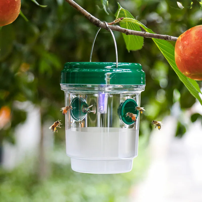 Piège À Insectes Extérieur En Plastique Transparent Avec Couvercle – Efficace Pour Attraper Des Mouches Des Fruits, Des Guêpes, Un Design Transparent Pour Une Surveillance Facile